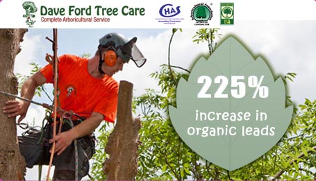 Dave Ford Tree care screen grab with stats