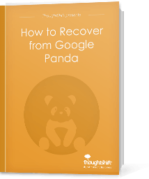 How to Rexcover from Google Panda - Cover