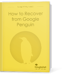 How to Recover from Google Penguin - Cover