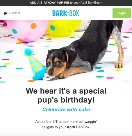 Email Marketing Automation Example for Pet Supplies