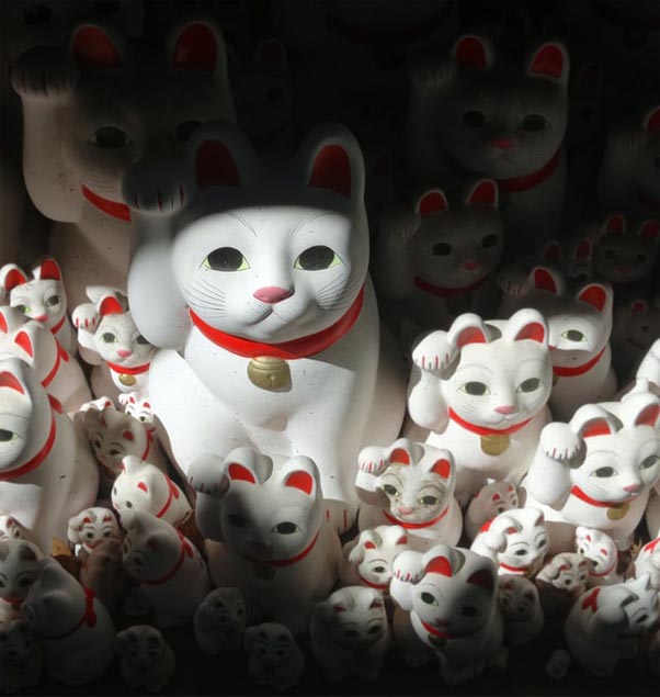 Lucky cats