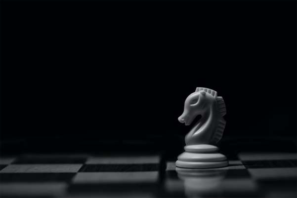 The knight chess piece
