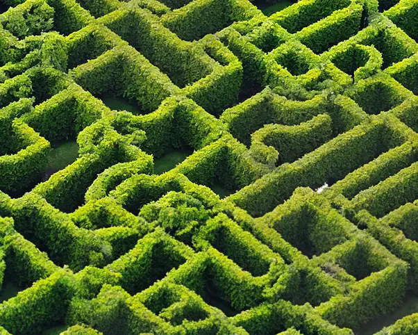 A Hedge Maze