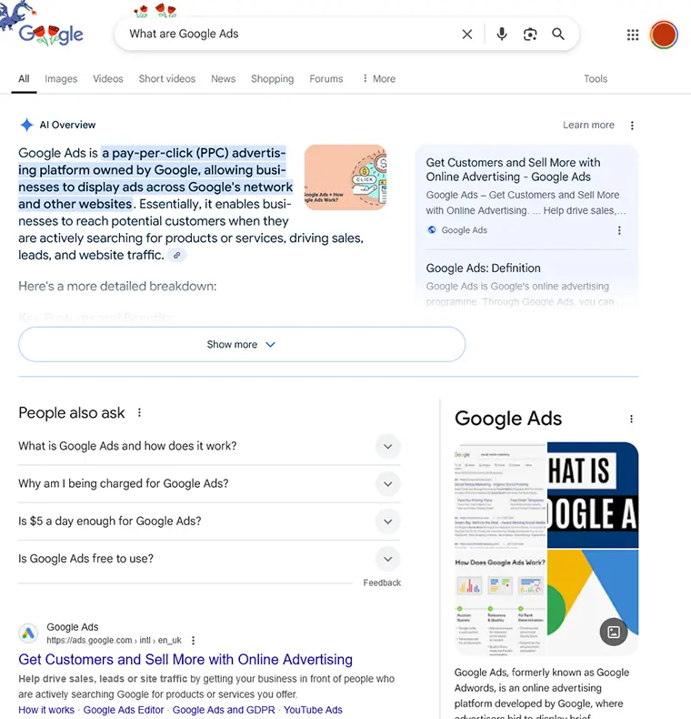 Google AI Overview Screenshot