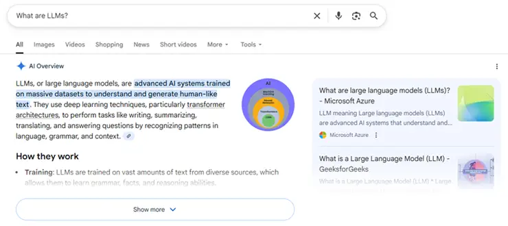 Future of digital marketing 2026 - google screenshot - LLM definition overview